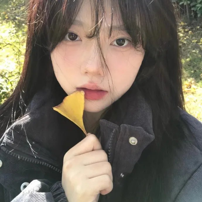 无名威尼斯人